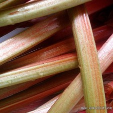 Rhubarb 'Victoria' - 1 crown FREE NATIONWIDE DELIVERY