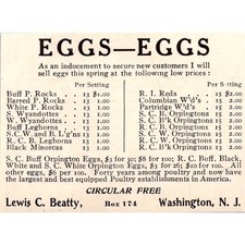 S. C. Buff Orpington Eggs