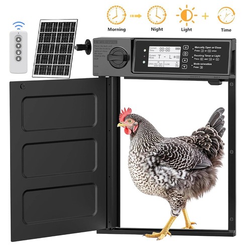 Chicken coop door - coop,