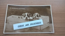 In Separate Quarters Boxer pups in wooden boxes unbranded RP Postcard sent 1923
