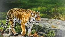 STEPHEN GAYFORD, 'JUNGLE