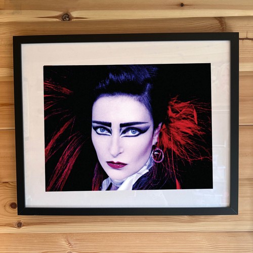 Siouxsie and the - , banshees