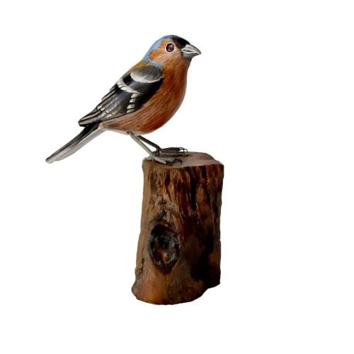Chaffinch tree trunk hand - chaffinch,