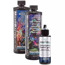 Brightwell Aquatics