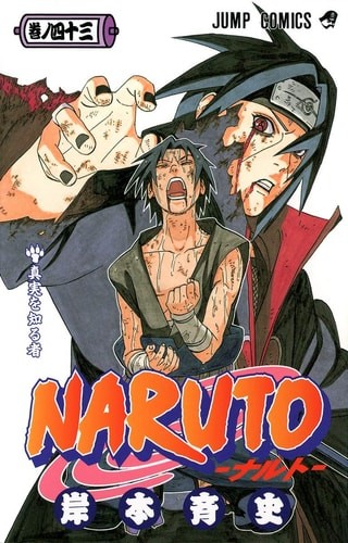 Naruto volume - volume, (naruto