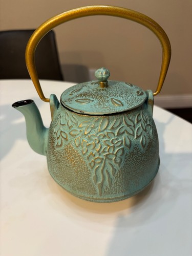 Tea kettle japanese cast - tea, iron