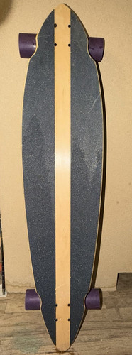Pintail cruising - pintail,