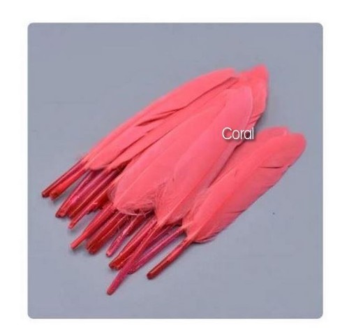 Coral craft feathers free - craft, 20