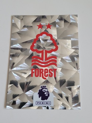 Panini premier league 2024 - panini,