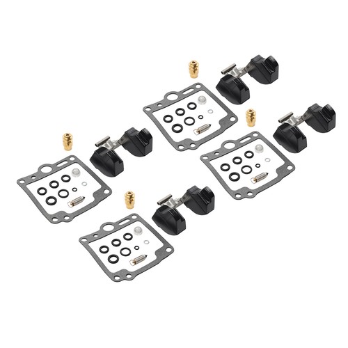 Set carburetor rebuild - set,