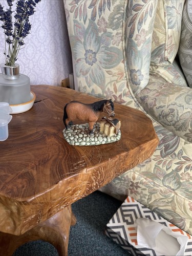 Leonardo small pony horse - leonardo,