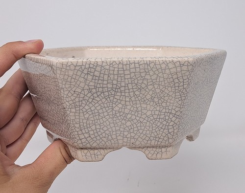 Bonsai pot ceramic cream - bonsai,