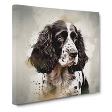 English Springer Spaniel
