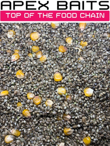 Hemp seed maize unprepared - hemp,