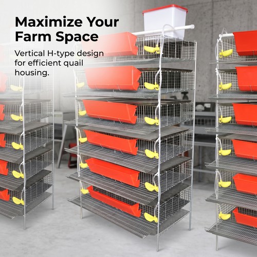 Automatic quail cage - quail,