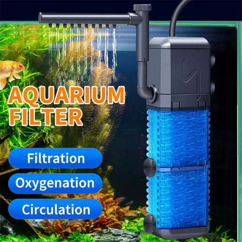 Internal aquarium fish - aquarium,