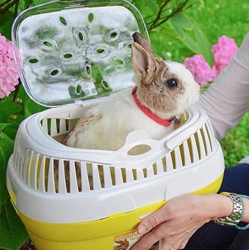 Ferplast rabbit guinea pig and - pig,