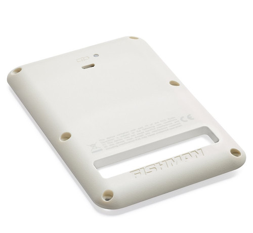 Fishman rechargeable battery - rechargeable,
