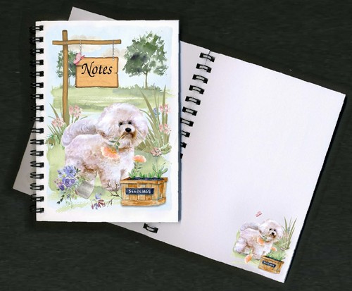 Bichon frise dog - frise,