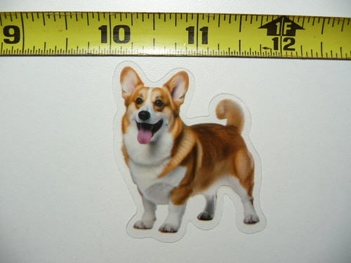 Cardigan welsh corgi - cardigan,