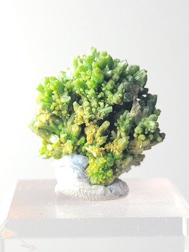 Pyromorphite natural specimen - (natural,