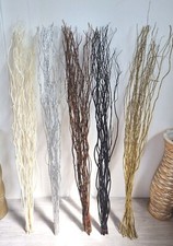 Twisted willow twig branches - twisted,