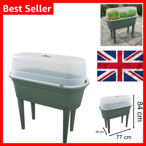 Green mini greenhouse raised - mini,
