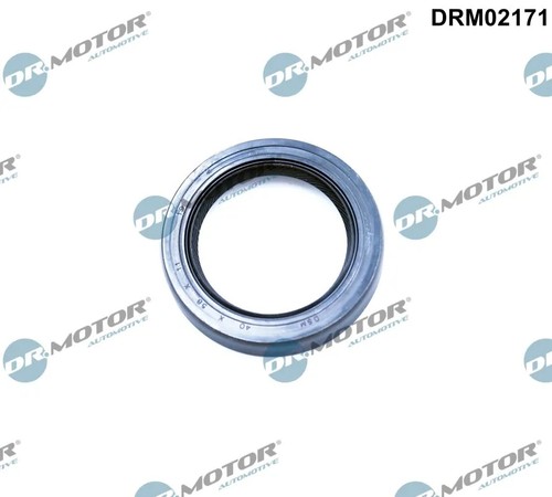 Shaft seal differential fits - shaft,