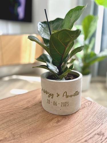 Personalised concrete planter - personalised,