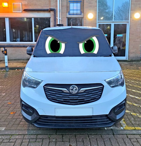 Citroen berlingo 2018 window - berlingo, +