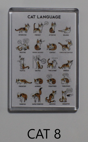 Extra large fridge magnet - large,