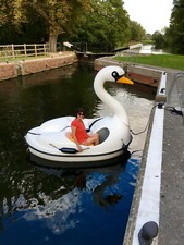 Swan Fibre Glass Pedalo 2