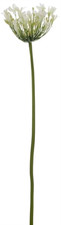 Neptune - Agapanthus Stem - White, Artificial flower