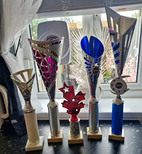 Mystery trophie bundle - trophie,