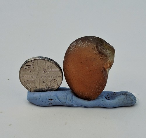 Brown multi seaham seaglass - multi,