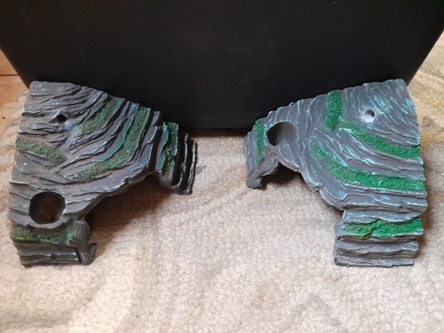 Lot aquarium vivarium - of, 2