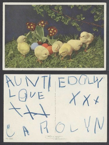 Chicks birds eggs flowers - birds,