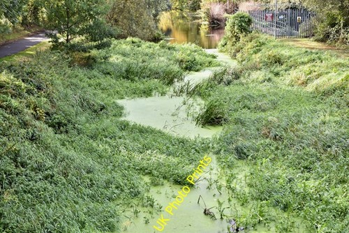 Photo 6x4 disused lagan canal - 6x4,