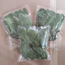 Sun Dried Soursop Graviola