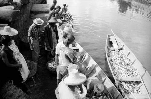 Some men buying freshly caught