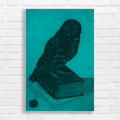 Owl perched books - perched,