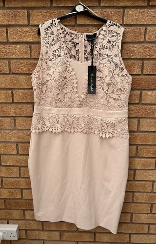 Bnwt phase eight harmony lace - phase,