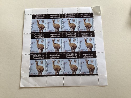 Klipspringer antelope mint - klipspringer,