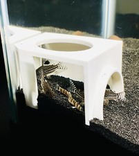 Fish Tank Cave Hideout Corner