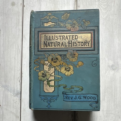 Rev wood illustrated - wood,