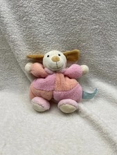 Beautiful baby puppy dog