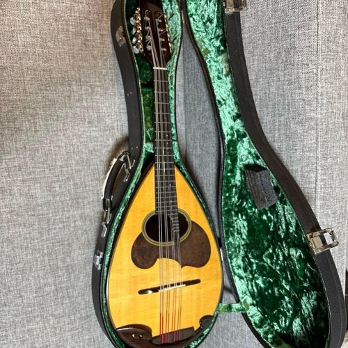 Suzuki mandola w hard - suzuki, w/hard