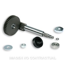 Development Primary Malossi