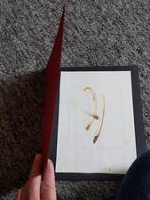 Sandra Blow: HB Book with