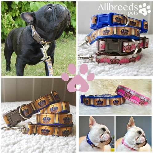 Allbreeds crown dog collar - dog, and